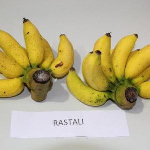 pisang-rastali