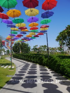 Portugal's Umbrella Sky