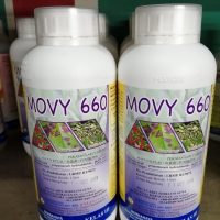 Movy 660